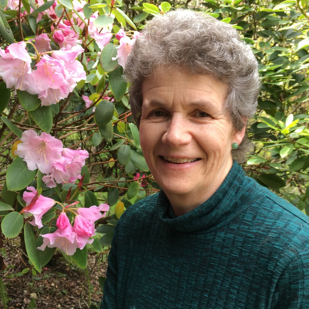 Mentoring Session with Donna